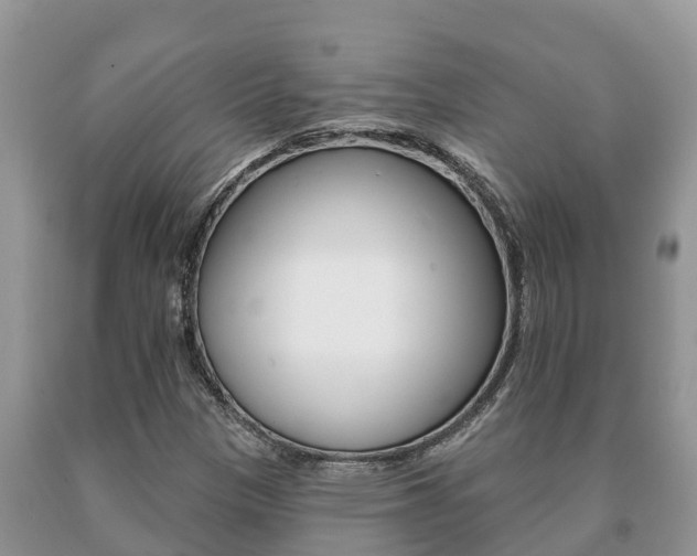 X0000091071305200708061014