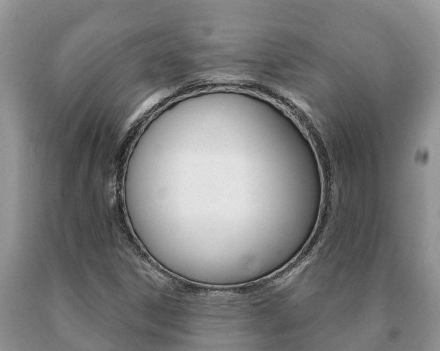 X0000091071306200708061014