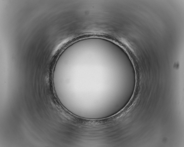 X0000091071307200708061014