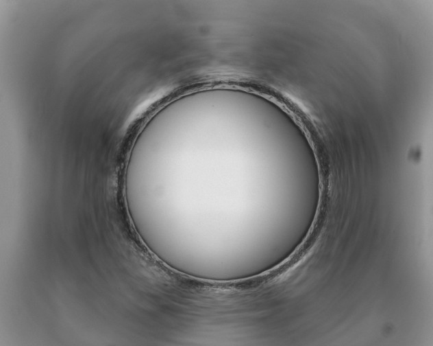 X0000091071309200708061014