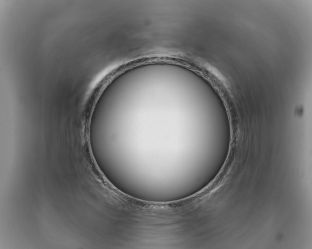 X0000091071310200708061014