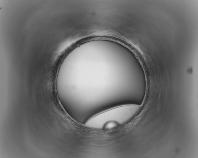 X0000091071311200708061014