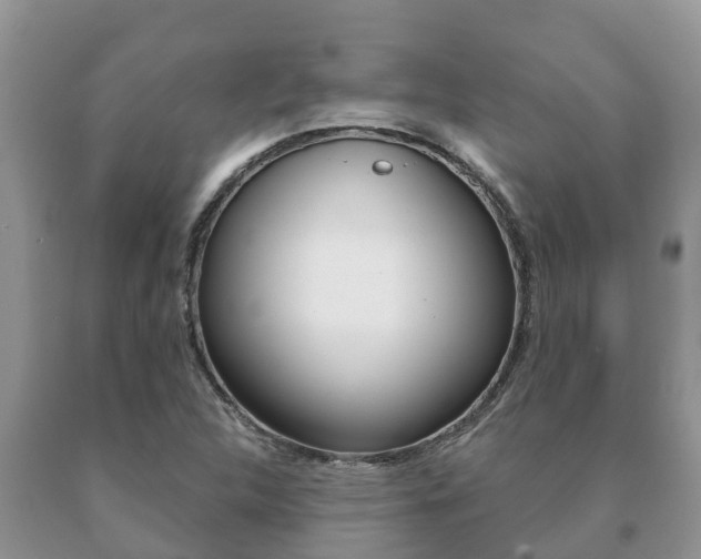 X0000091071312200708061014