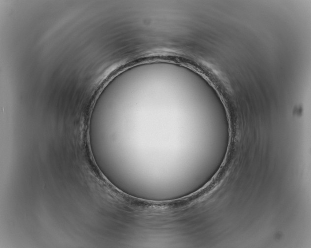 X0000091071313200708061014