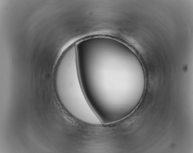 X0000091071316200708061014