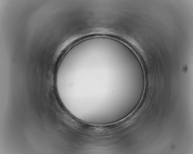 X0000091071318200708061014