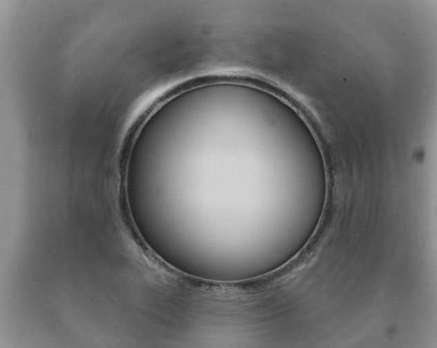 X0000091071319200708061014