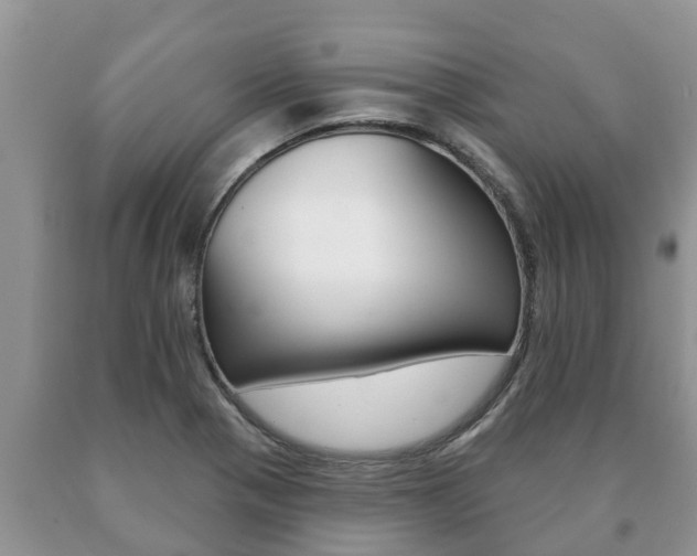X0000091071321200708061014