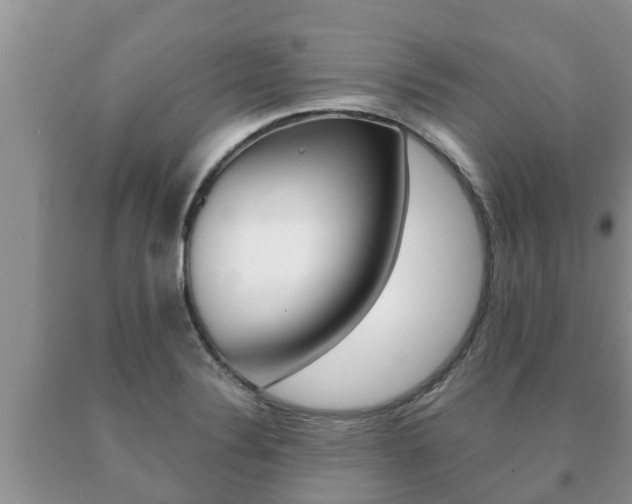 X0000091071324200708061014
