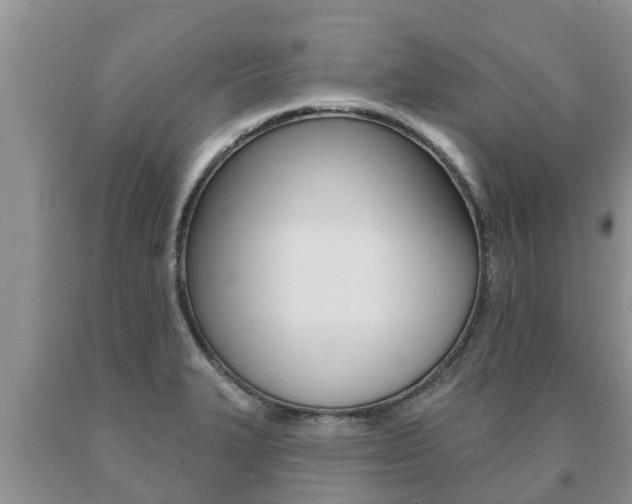 X0000091071327200708061014