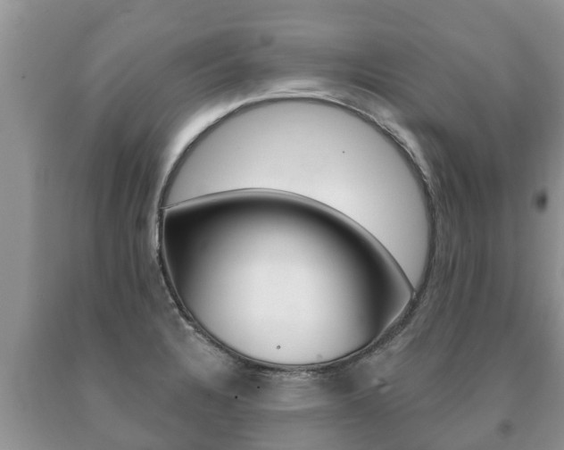 X0000091071328200708061014