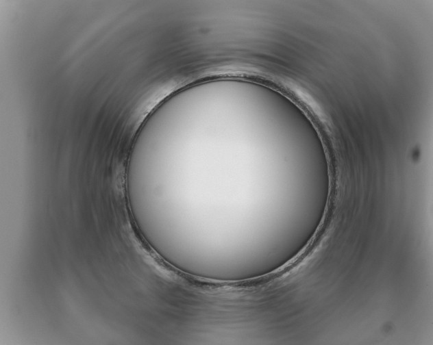 X0000091071329200708061014