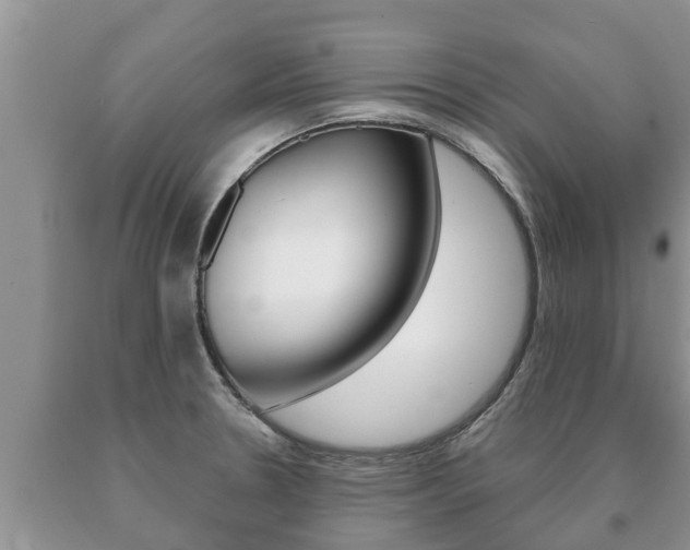 X0000091071330200708061014