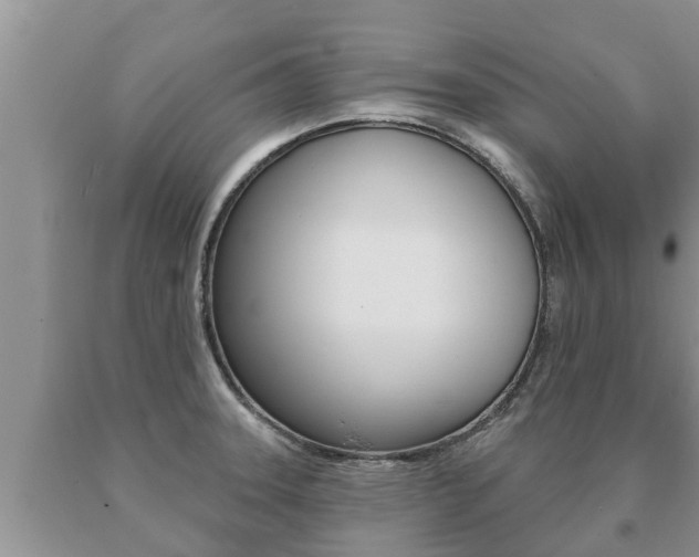 X0000091071331200708061014