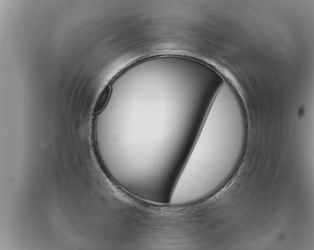 X0000091071333200708061014