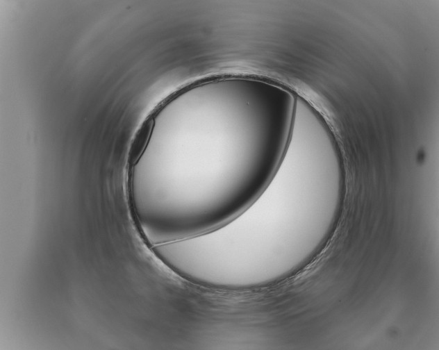 X0000091071334200708061014