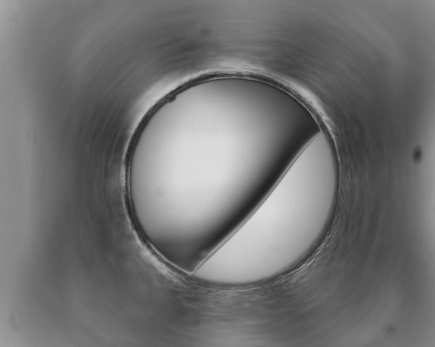 X0000091071335200708061014