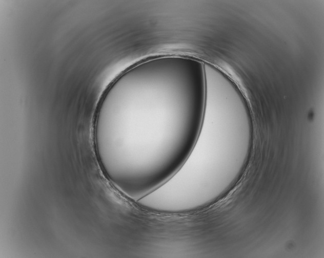 X0000091071336200708061014