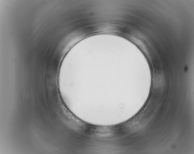 X0000091071338200708061014