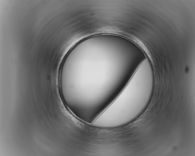 X0000091071339200708061014