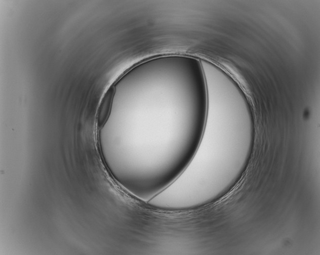 X0000091071340200708061014