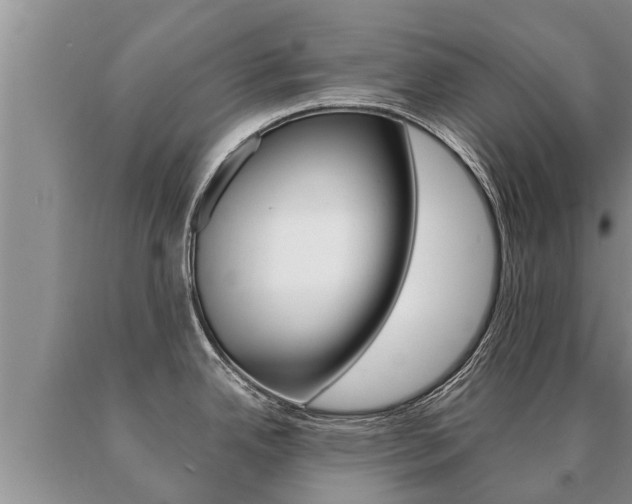 X0000091071342200708061014