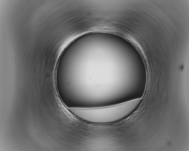 X0000091071344200708061014
