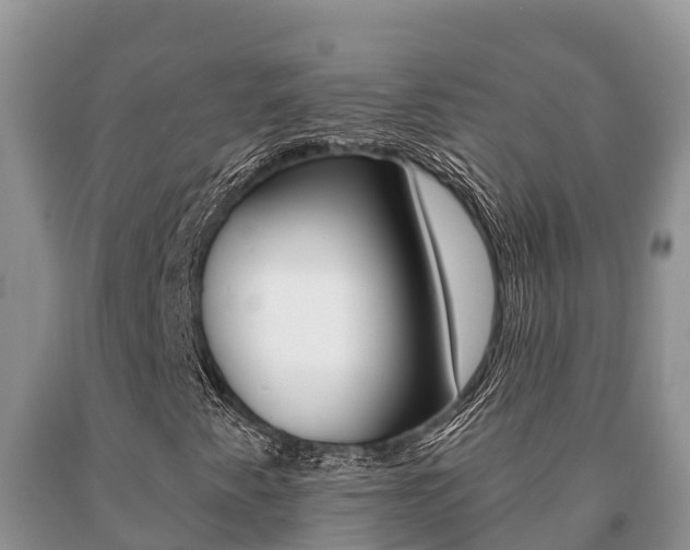 X0000091071345200708061013