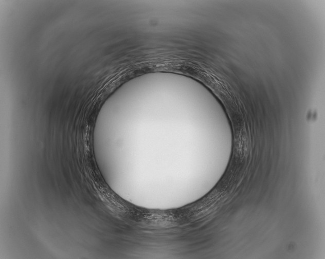 X0000091071346200708061013