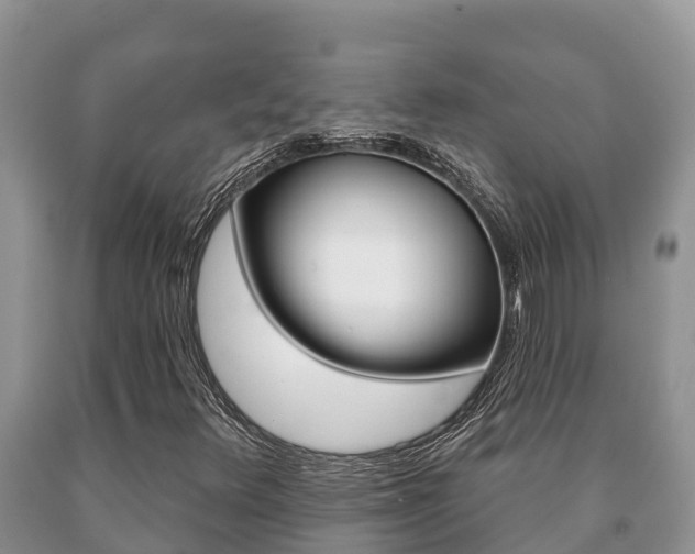 X0000091071348200708061013