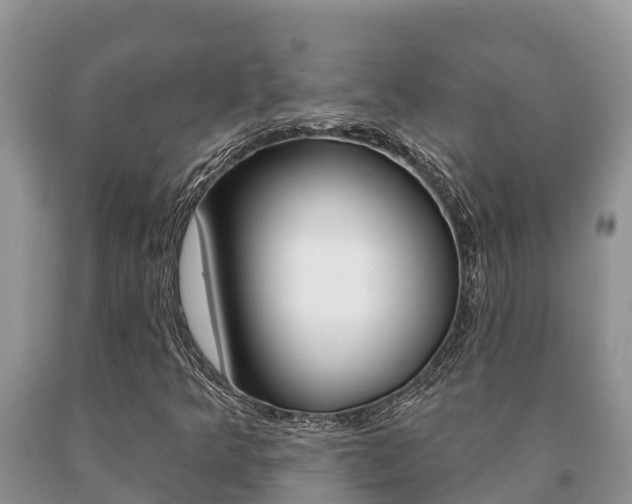X0000091071349200708061013