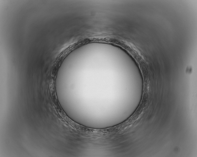 X0000091071350200708061013