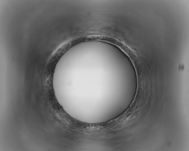 X0000091071351200708061013