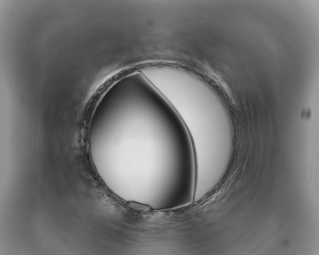 X0000091071352200708061013