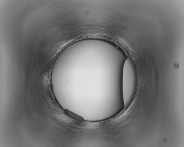 X0000091071353200708061013