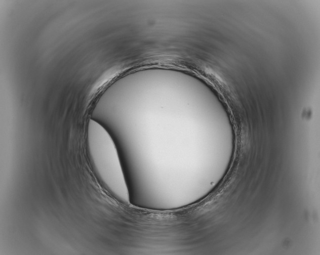 X0000091071354200708061013