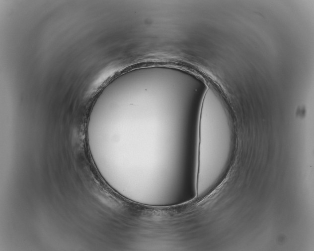 X0000091071355200708061013