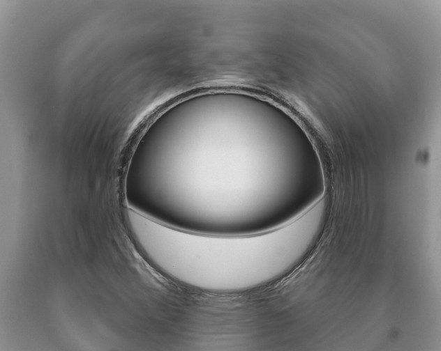 X0000091071356200708061013
