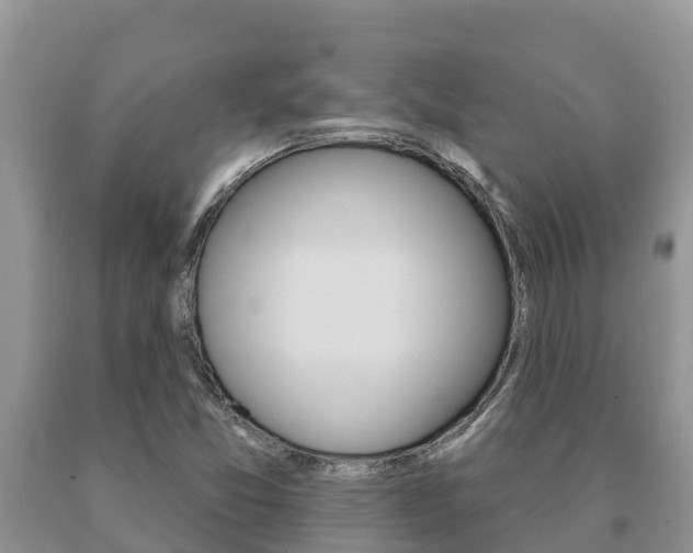 X0000091071357200708061013
