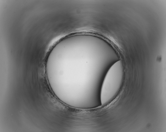 X0000091071358200708061013