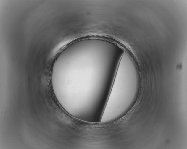 X0000091071359200708061013
