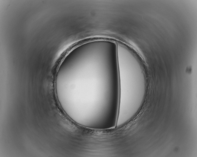 X0000091071360200708061013