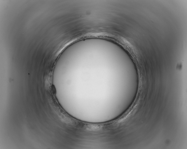 X0000091071361200708061013