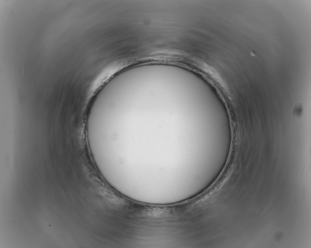 X0000091071362200708061013