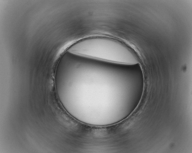 X0000091071363200708061013
