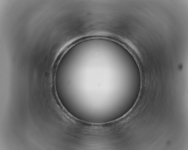X0000091071364200708061013
