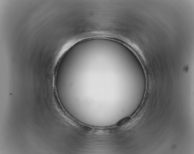 X0000091071365200708061013