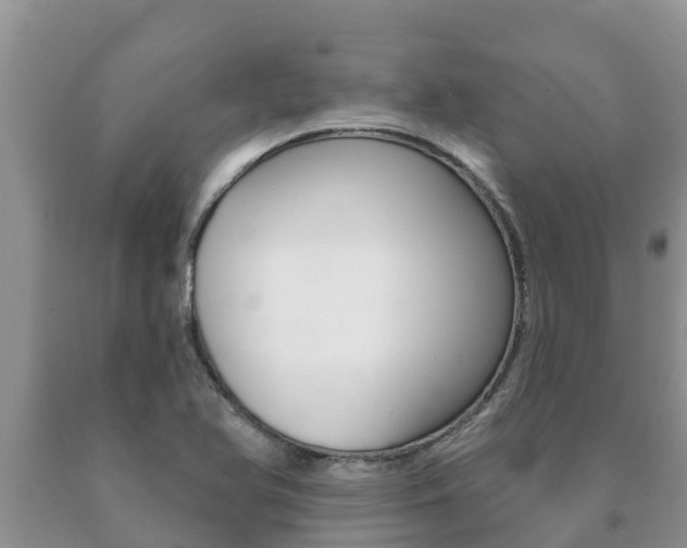 X0000091071366200708061013