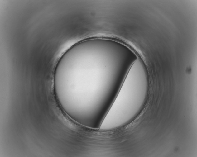 X0000091071367200708061013