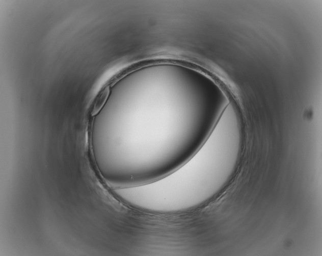 X0000091071368200708061013